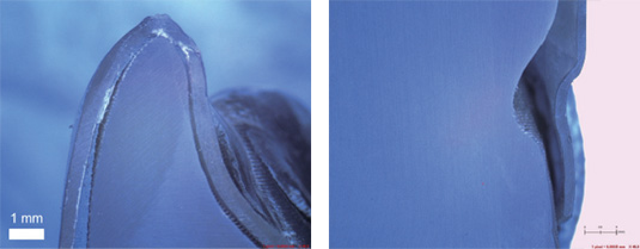 Graphy Inc: 3D Printable Shape Memory Aligners & Dental Solutions